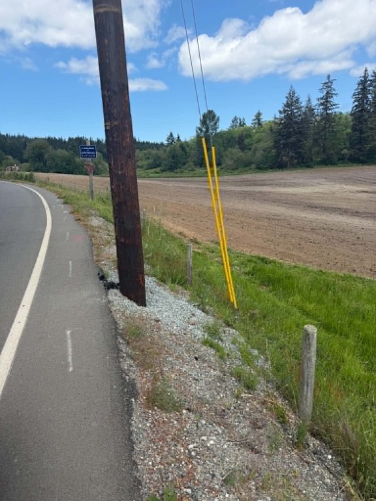 The Pole i hit & Barbed Fence